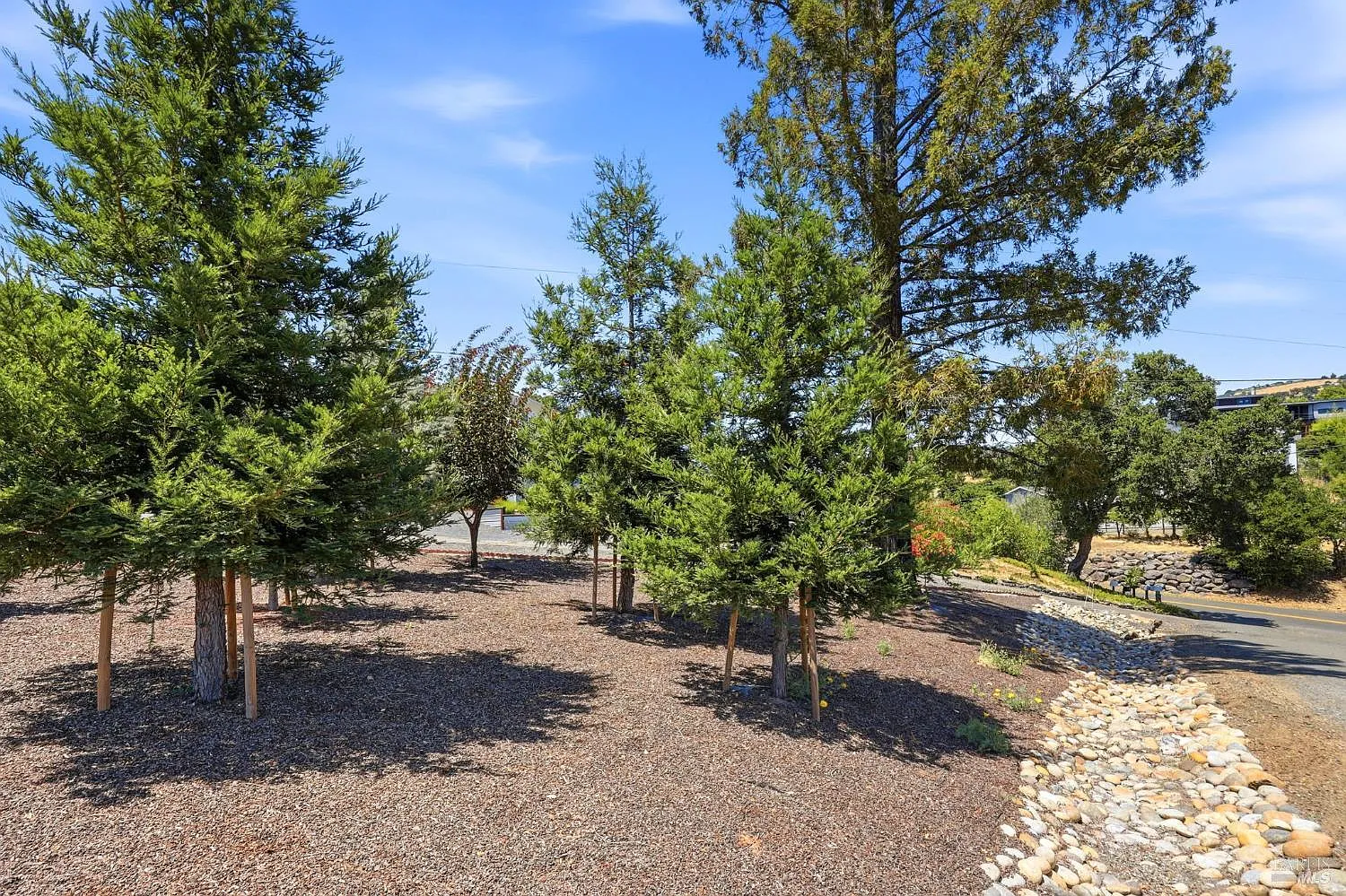 5363 Wilshire Drive - Photo 8