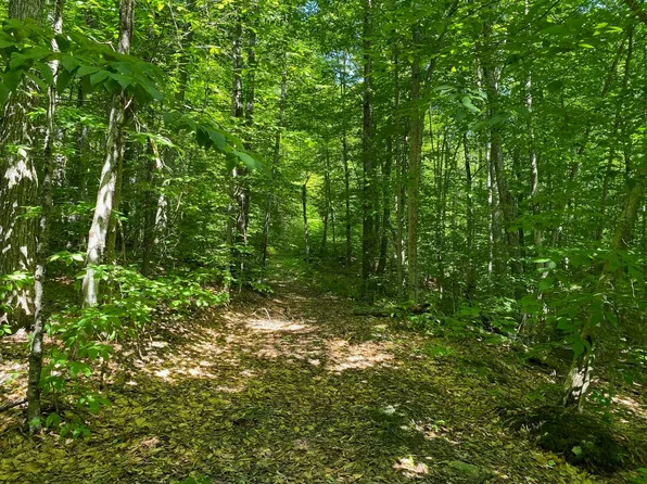 0 Off Herring Brook Road, Moretown, VT 05660