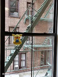 Rented by Citi Habitats