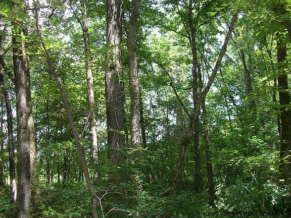 3rd image of tbd N Chodikee Lake