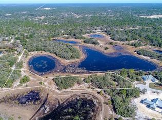 10400 Scenic Lake Dr, Weeki Wachee, FL 34613