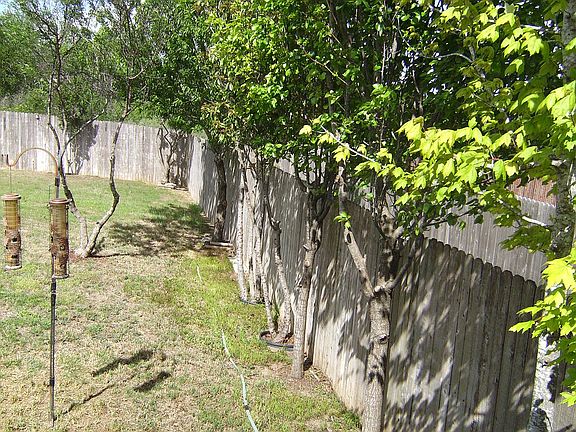 5th image of 10803 Gunsel Trl