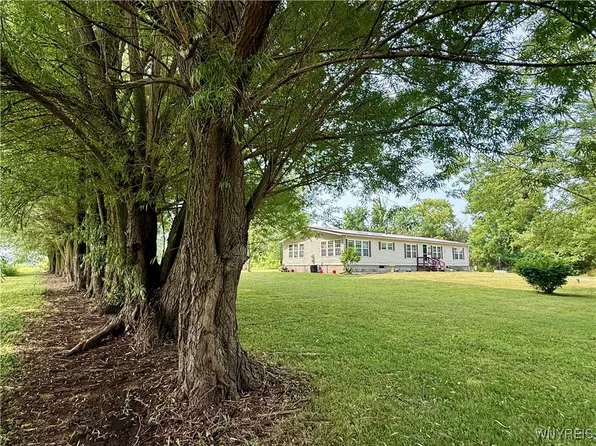 13892 Root Rd, Albion, NY 14411