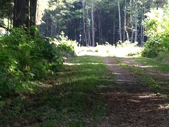 5th image of 305 Fish Mountain Road