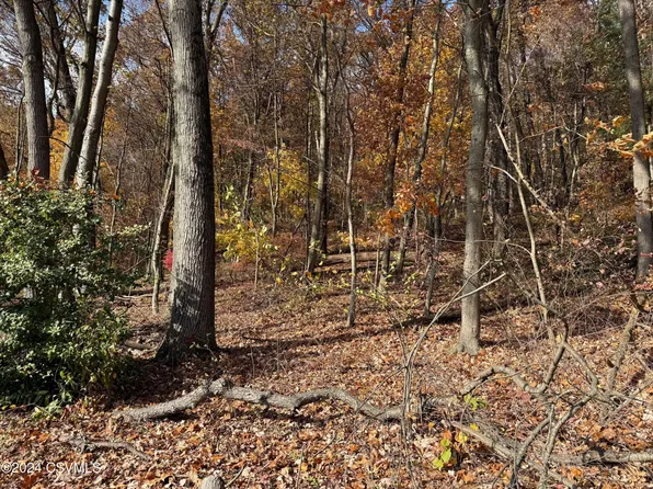 Sycamore Rd, Catawissa, PA 17820