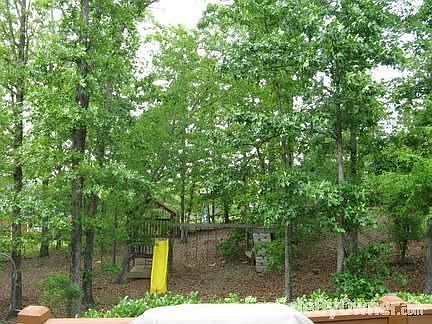 View from Back Deck