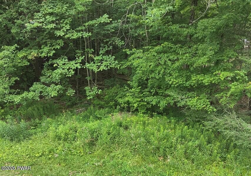 2nd image of 150 Highway 390