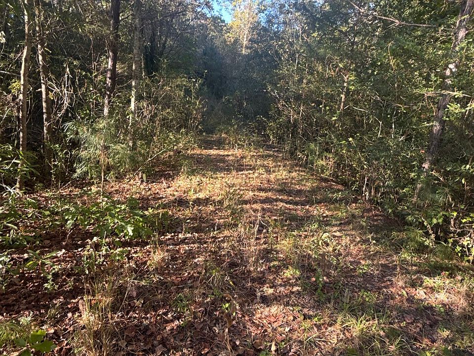 1st image of 939 Chappell Mill Rd