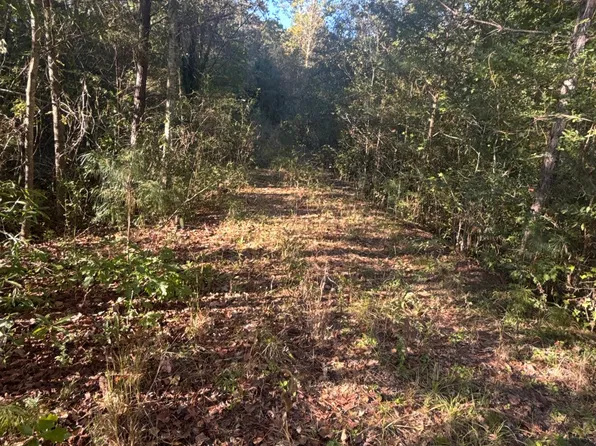 939 Chappell Mill Rd, Milner, GA 30257