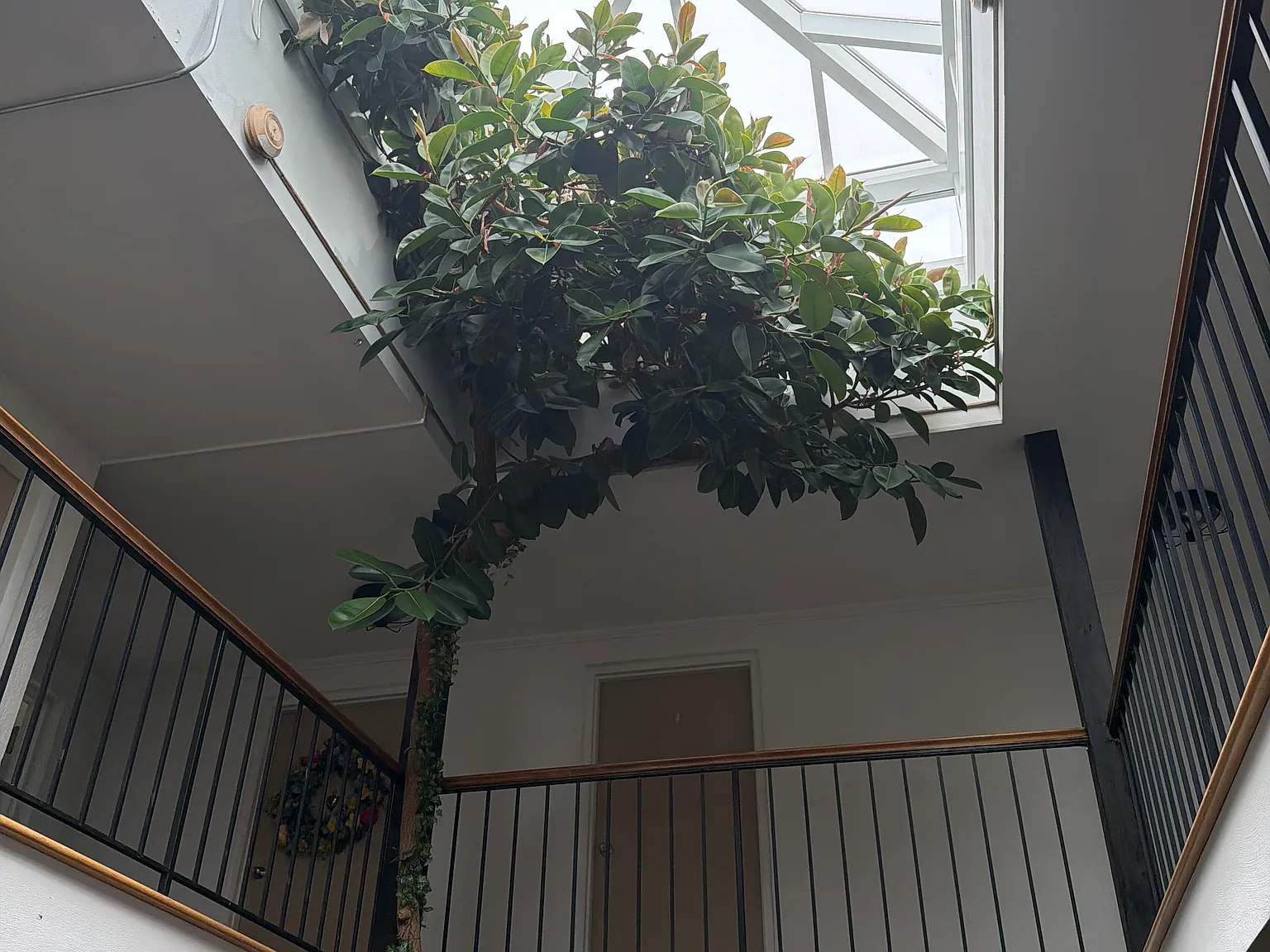 2 bed, 750 sqft, $1,300 — Photo 1