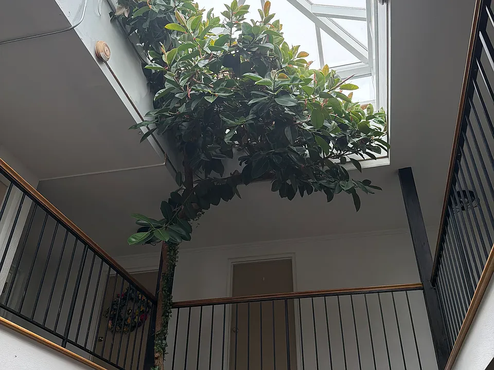 20 Kennedy Pkwy #315
