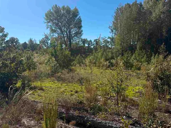 Rock House Rd, Mount Croghan, SC 29727