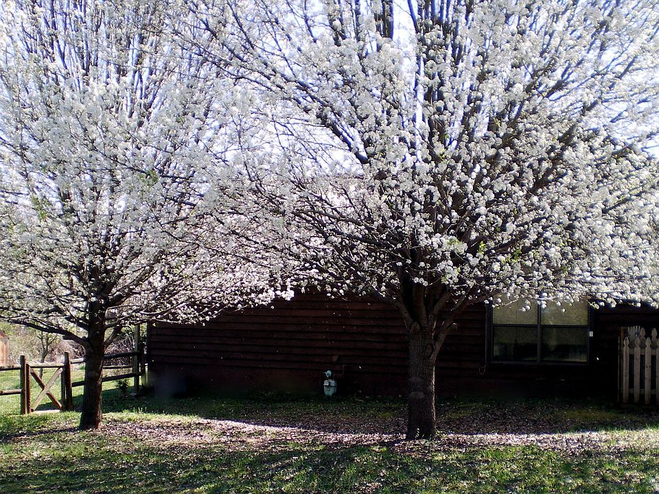 Side View