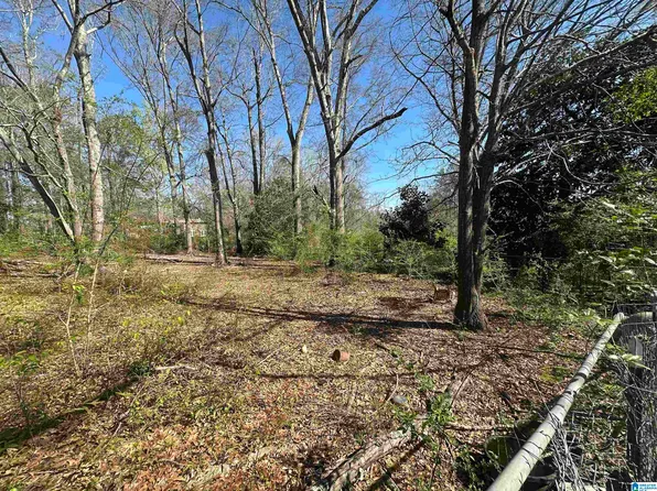 13181 E Capitol Dr #1, Lawley, AL 36793