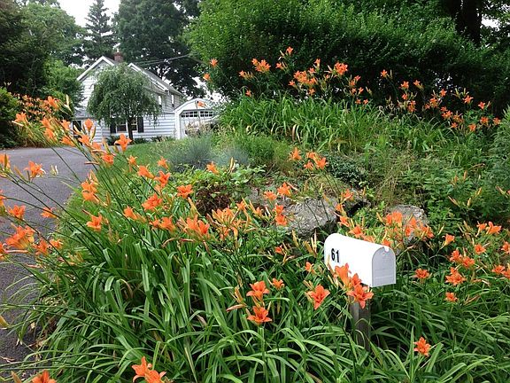 Looking from street, the long driveway to the house.