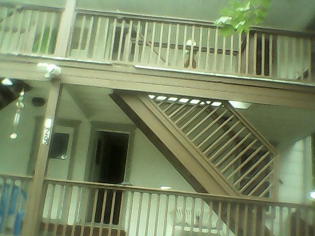 2nd image of 129 Manheim Ave APT 4