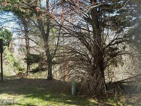 3rd image of 16254 Brook Trail Ct