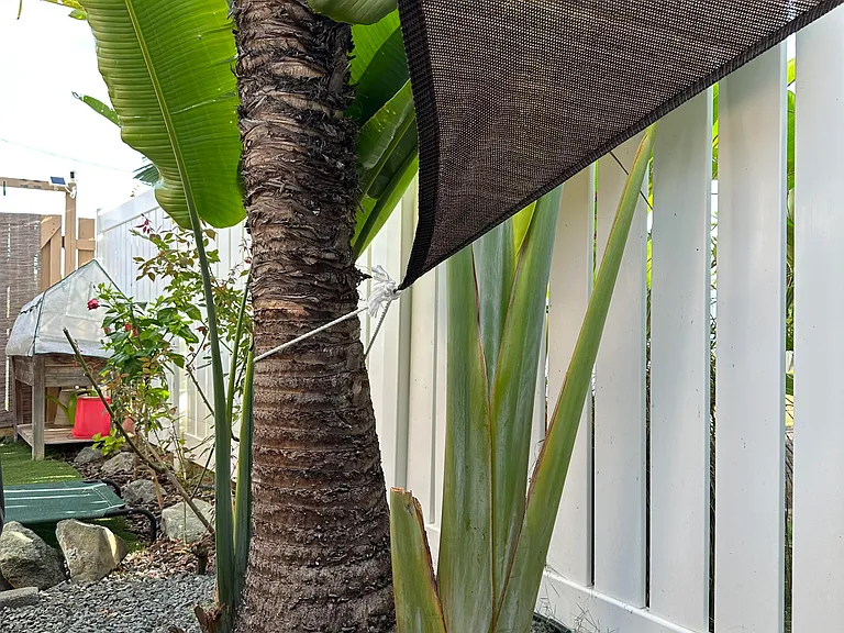 325 Kalama St — Photo 8