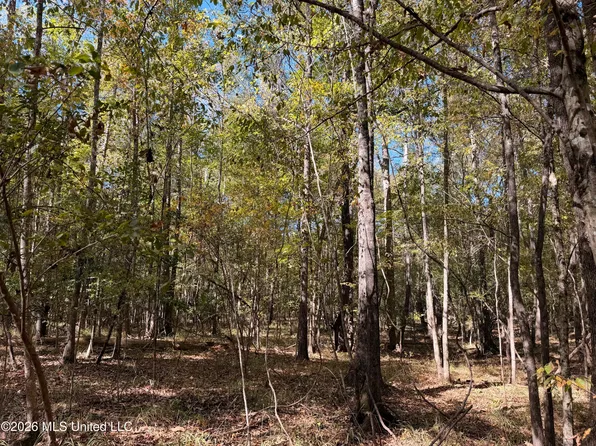 Highway 84, Roxie, MS 39661