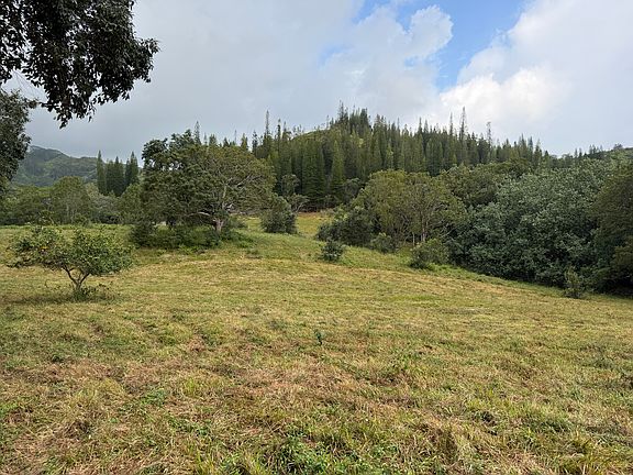 5th image of Ahiahi Rd Lot 55