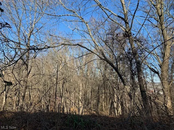 McPherson Ave, Cambridge, OH 43725