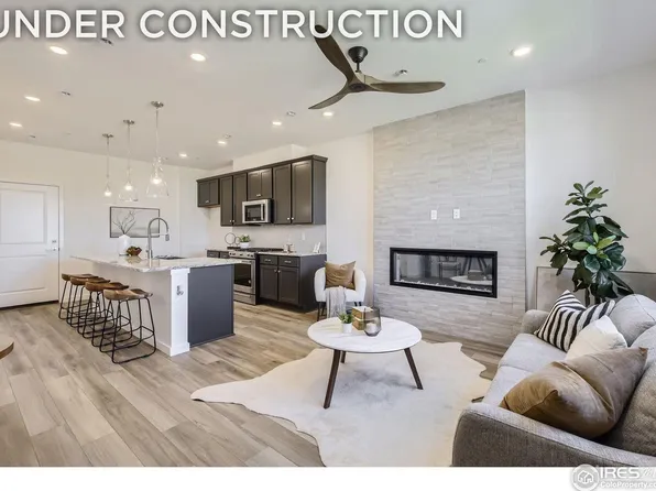 2725 Bear Springs Cir, Longmont, CO 80503