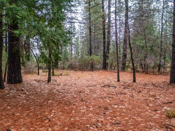 44 State Hwy, Shingletown, CA 96088