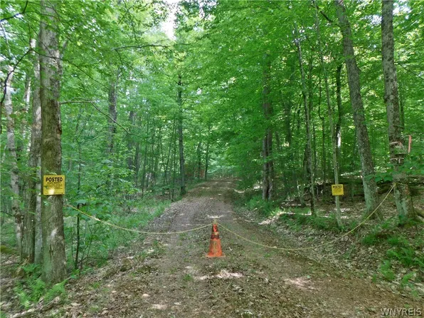 County Road 1 Lot 20, Friendship, NY 14739