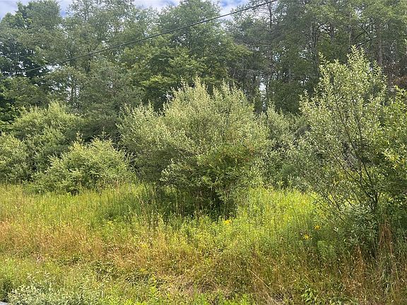 2nd image of Horseshoe Lake Road