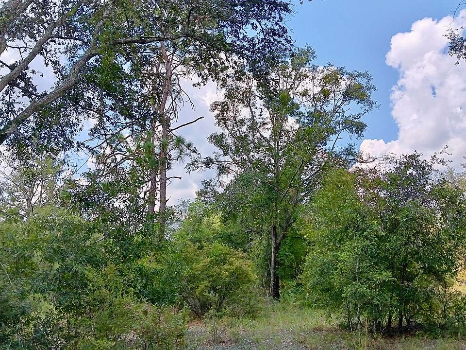 1st image of LOT 29 179th Ln