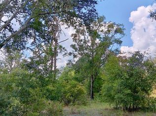 LOT 29 179th Ln, Live Oak, FL 32060