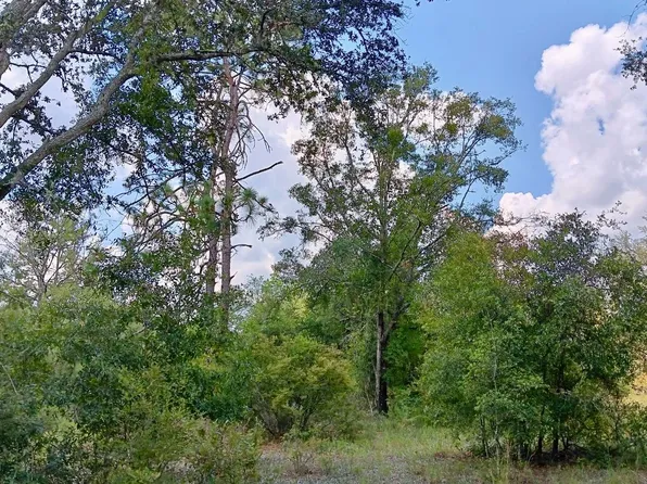 LOT 29 179th Ln, Live Oak, FL 32060