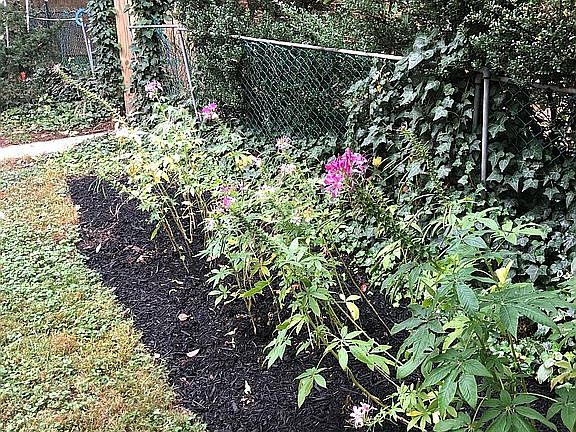 Flower Beds