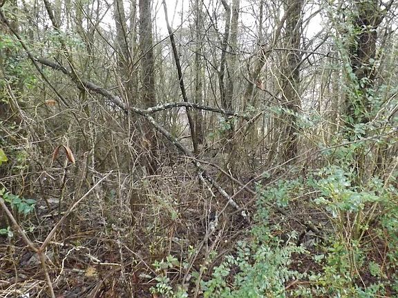 2nd image of Cumberland Dr