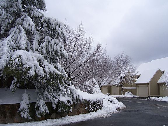 Winter scene at Sylvan Ridge