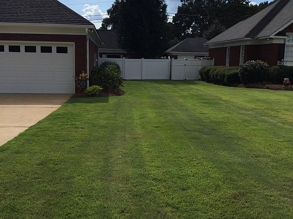 Side yard view