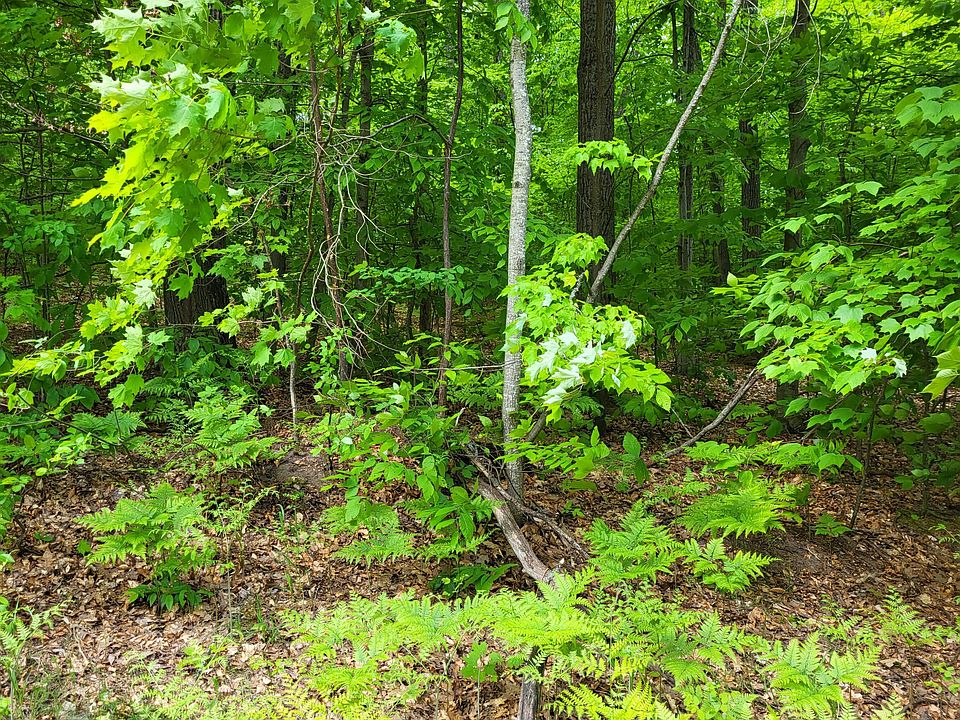 1st image of 323 Dogwood Ct