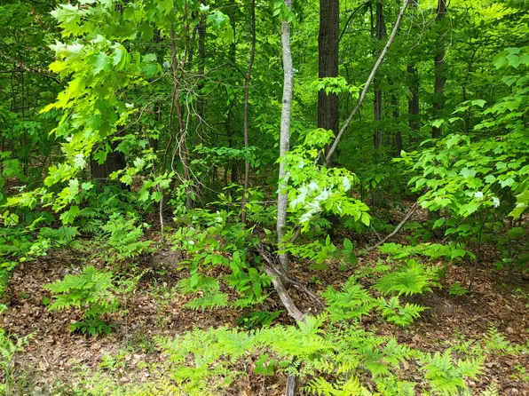 323 Dogwood Ct, Gaylord, MI 49735