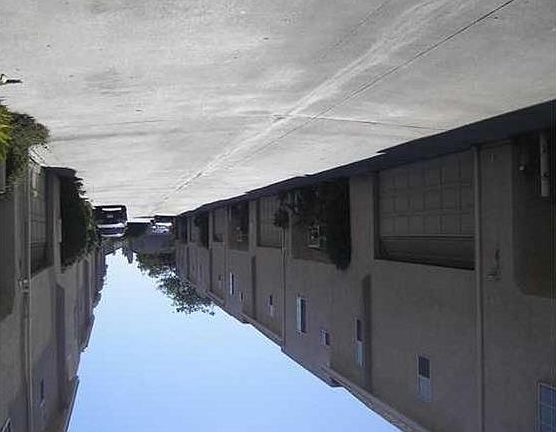 4th image of 9265 Woodman Ave APT 1
