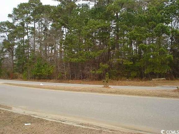 4th image of Parcel "A" Palmetto Pointe Blvd.