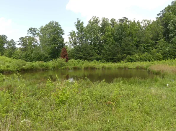 506 County Road 19 #0, Woodland, AL 36280