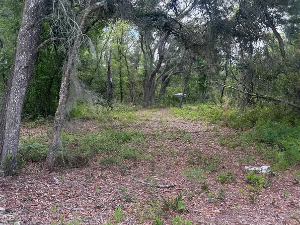 0000 Jody Morgan Rd, Perry, FL 32348