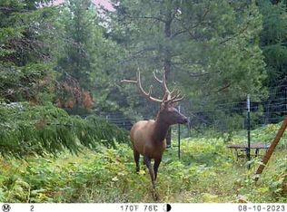 Nka Lookout Rd, Newport, WA 99156