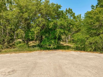 Simmons Ct, Panacea, FL, 32346