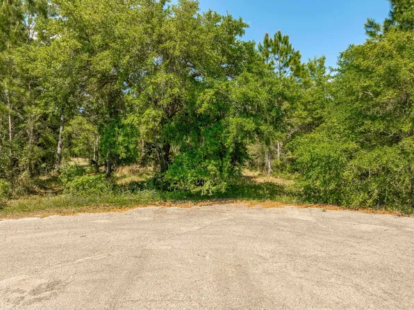 Simmons Ct, Panacea, FL 32346