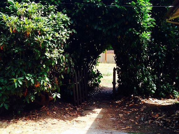 Back gate