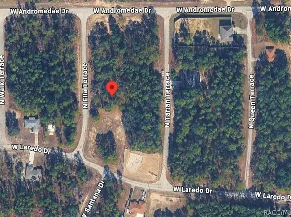10939 N Ella Ter, Citrus Springs, FL 34433