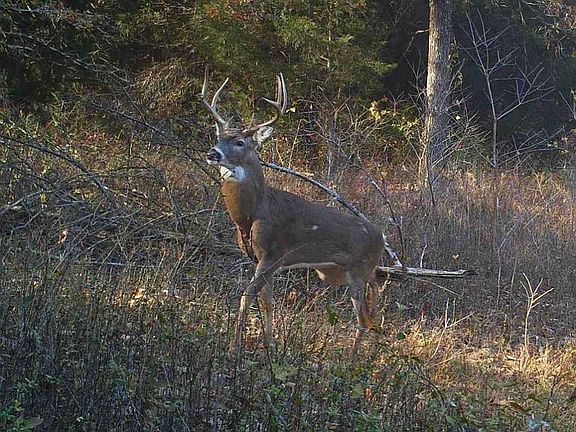 4th image of 3536 Bellview Rd