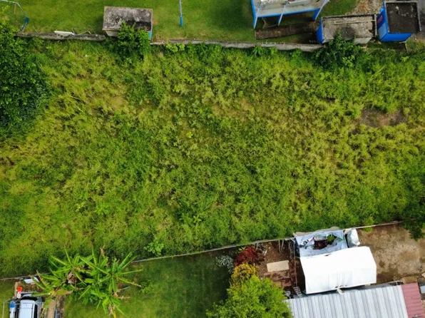 Bo C Davila #161, Manati, PR 00674