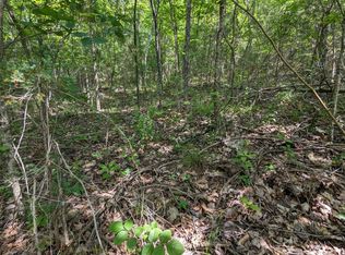 Lots 34,35 Virgin Bluff Drive, Galena, MO 65656